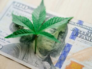 a cannabis leaf sitting on top of $100 USD.