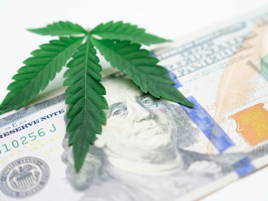 Cannabis Banking